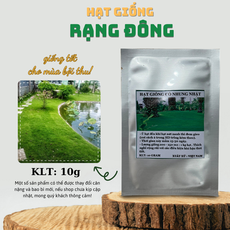 Hạt giống Cỏ Nhung Nhật trồng quanh năm, làm thảm sân vườn - Hạt giống Rạng Đông