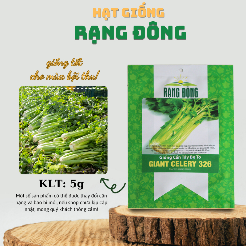 Hạt giống Cần Tây Bẹ To chuyên ép nước, dễ trồng, dễ chăm sóc, sinh trưởng khỏe (gói 5gr) - Hạt giống Rạng Đông