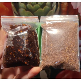 Chẳm chéo ướt / khô hạt dổi mắc khén loại đặc biệt