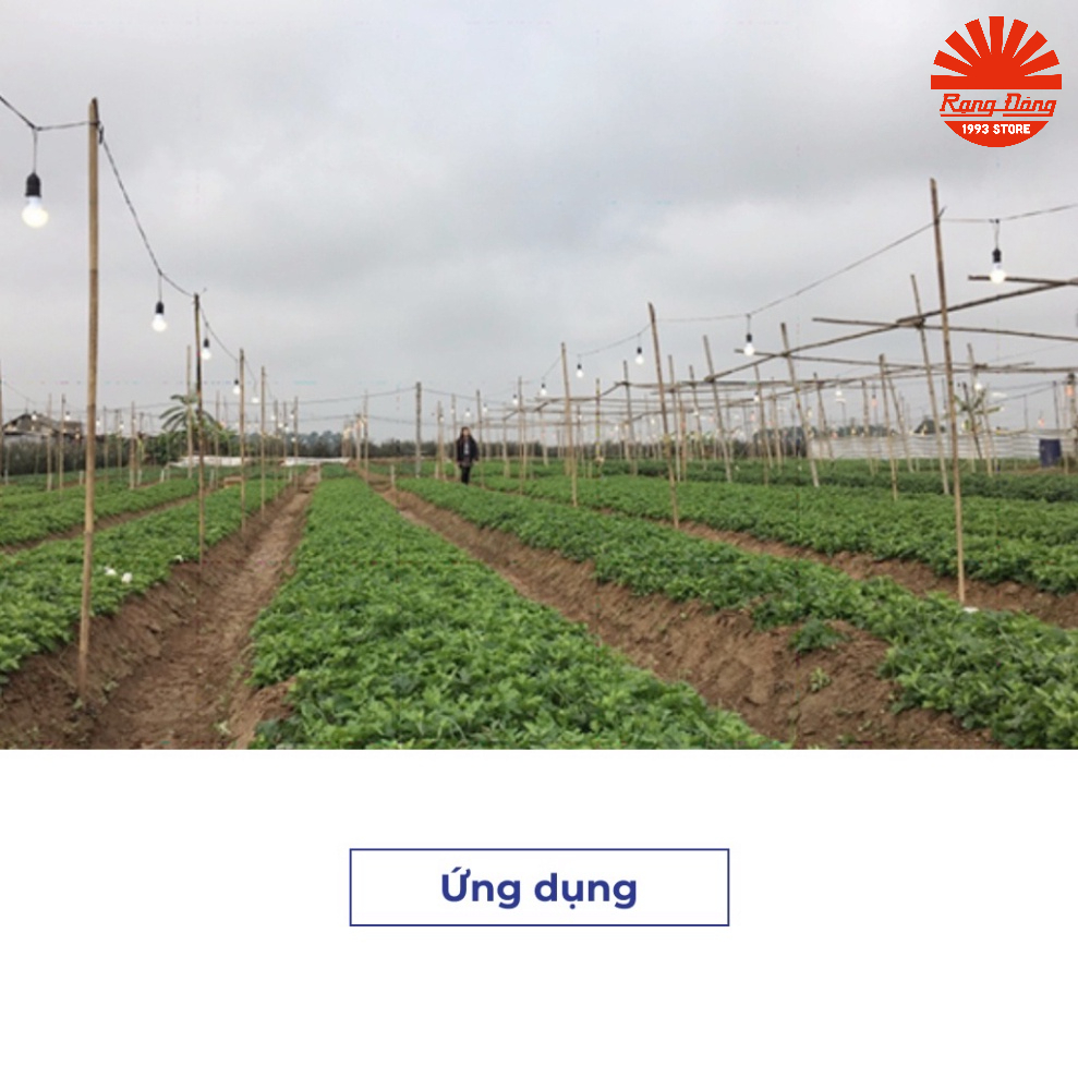 Đèn led trồng cây 9W Rạng đông Model: LED HC A60/9W 3000K