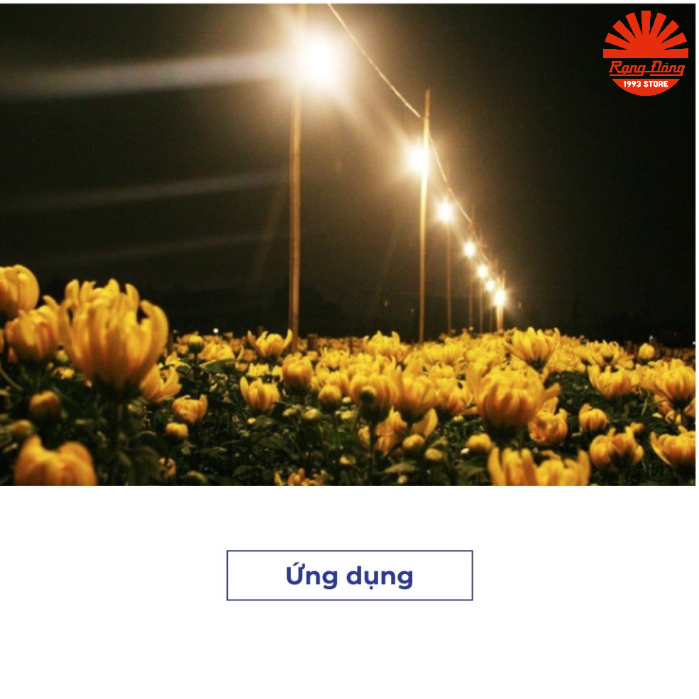 Đèn led trồng cây 9W Rạng đông Model: LED HC A60/9W 3000K