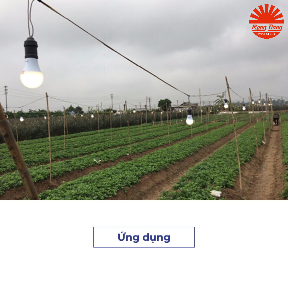 Đèn led trồng cây 9W Rạng đông Model: LED HC A60/9W 3000K