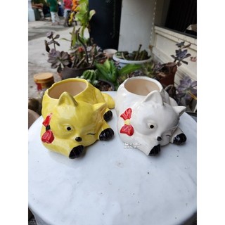 Chậu đất nung - chậu mèo tráng men