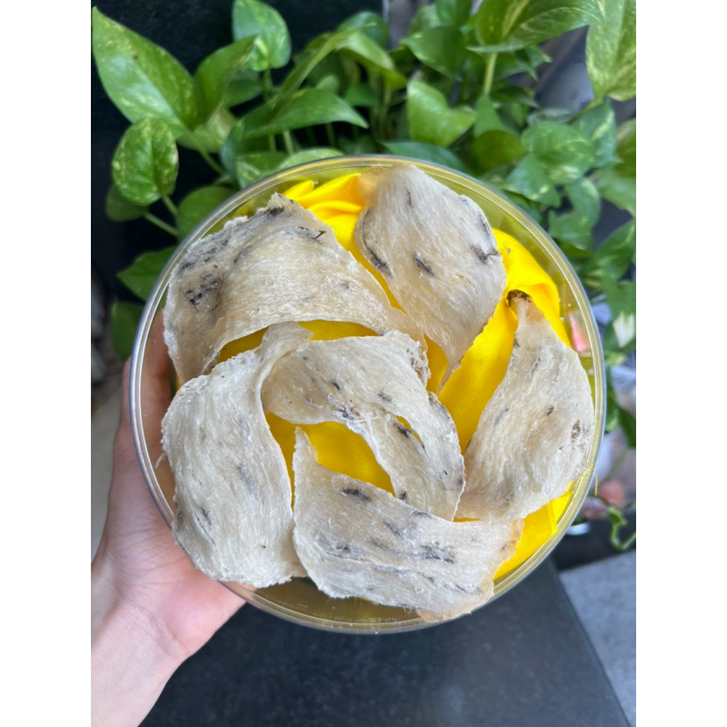 Tổ yến thô (tổ góc, tổ méo, bánh mì) yến sào Khánh hòa loại 1 ít lông, hàng thật giá tốt, tặng đồ chưng và nhíp