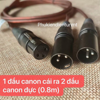 Dây chuyển đổi 1 đầu canon cái ra 2 đầu canon đực 0.8m
