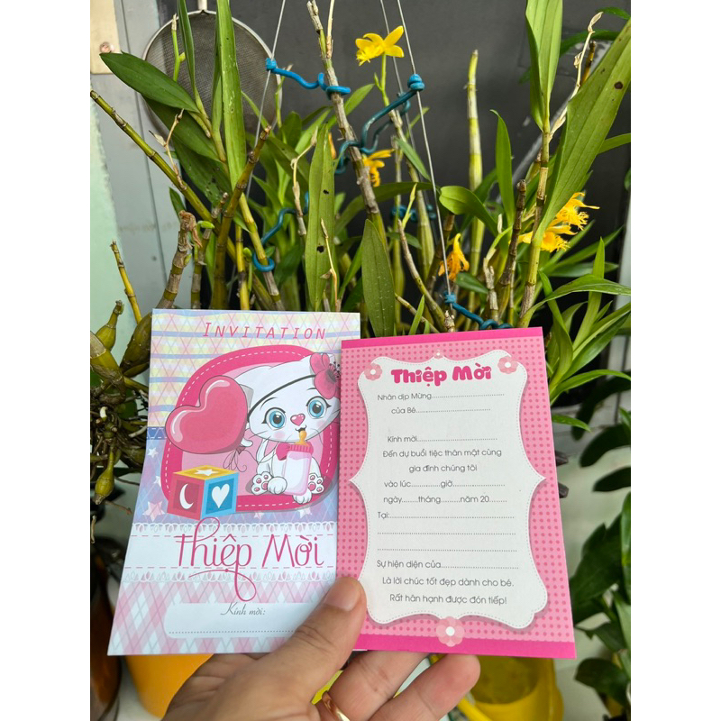 Combo 20 thiệp sinh Nhật, thôi nôi, đầy tháng bé Mèo