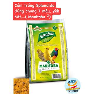 Cám trứng splendido lẻ 100g / 20k cho yến hót, manh manh, 7 màu, vẹt nhỏ,...