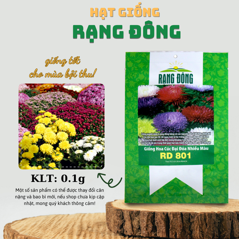 Hạt giống Hoa Cúc Đại Đóa nhiều màu thân cao 60-70cm, trồng quanh năm - Hạt giống Rạng Đông