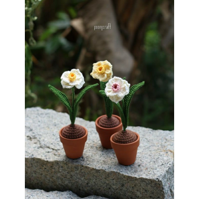 𝐩𝐥𝐚𝐧𝐭s 𝐝𝐚𝐟𝐟𝐨𝐝𝐢𝐥 𝐟𝐥𝐨𝐰𝐞𝐫 • handmade 🌸🌼