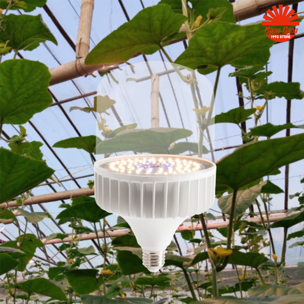 Đèn led trồng cây Rạng Đông 50W,quang hợp trong nhà, kích thích tăng trưởng model:TR140N1/50W