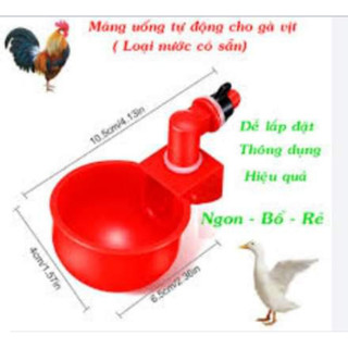 BỘ 20 CỐC UỐNG NƯỚC TỰ ĐỘNG DÀNH CHO GÀ THẢ VƯỜN