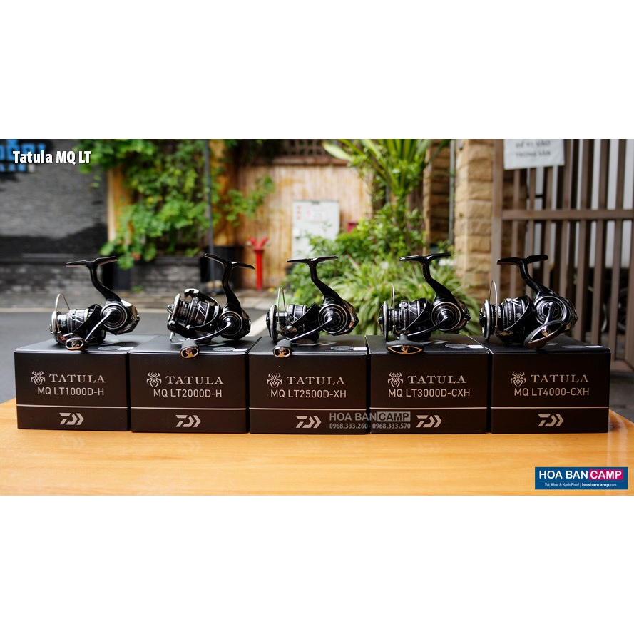 Máy Câu Dọc Daiwa Tatula MQ LT | 2023