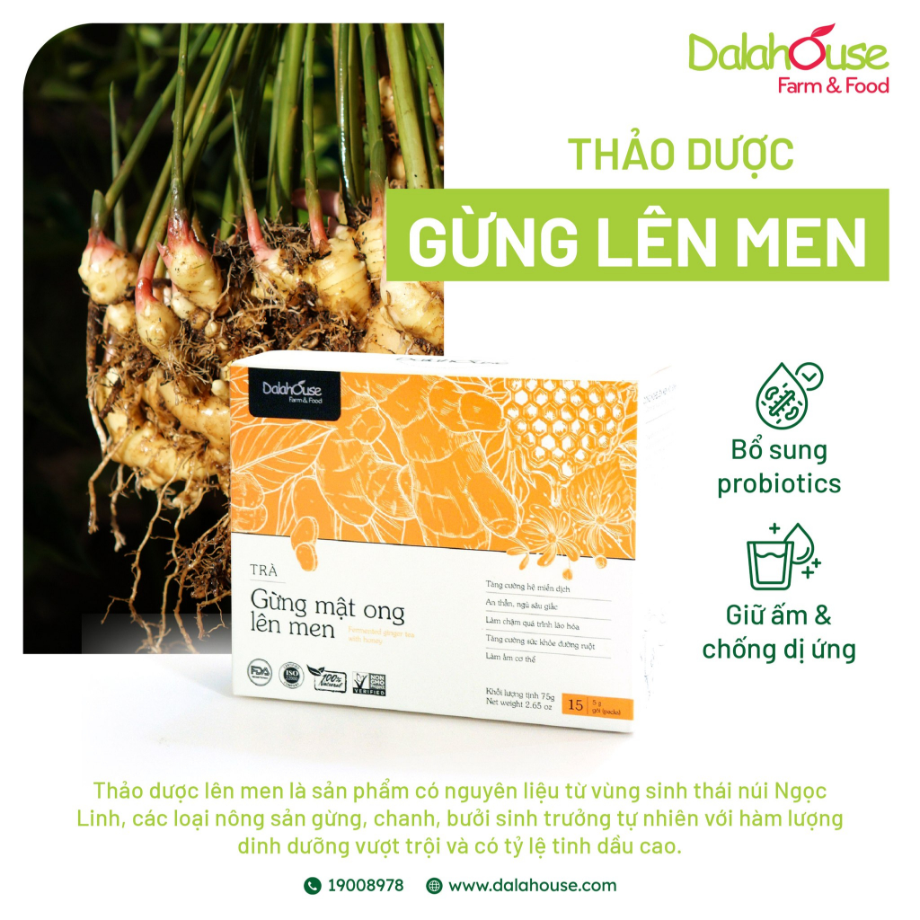 Trà gừng mật ong lên men Dalahouse 75g