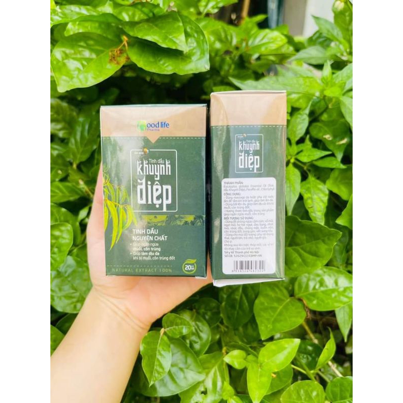 DR BEE Dầu Khuynh Diệp cho bé