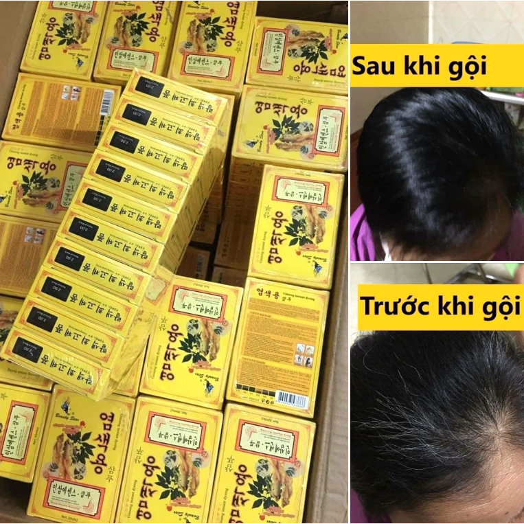 HỘP 2 GÓI GỘI ĐEN NHÂN SÂM HÀN QUỐC BEAUTY STAR