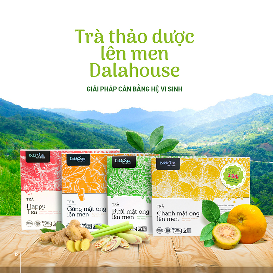 Trà lên men Happy Tea Dalahouse 75g