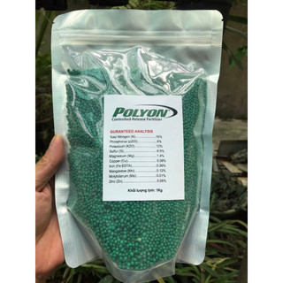 100g Phân tan Chậm Mỹ PoLyon hạt xanh 16-6-12