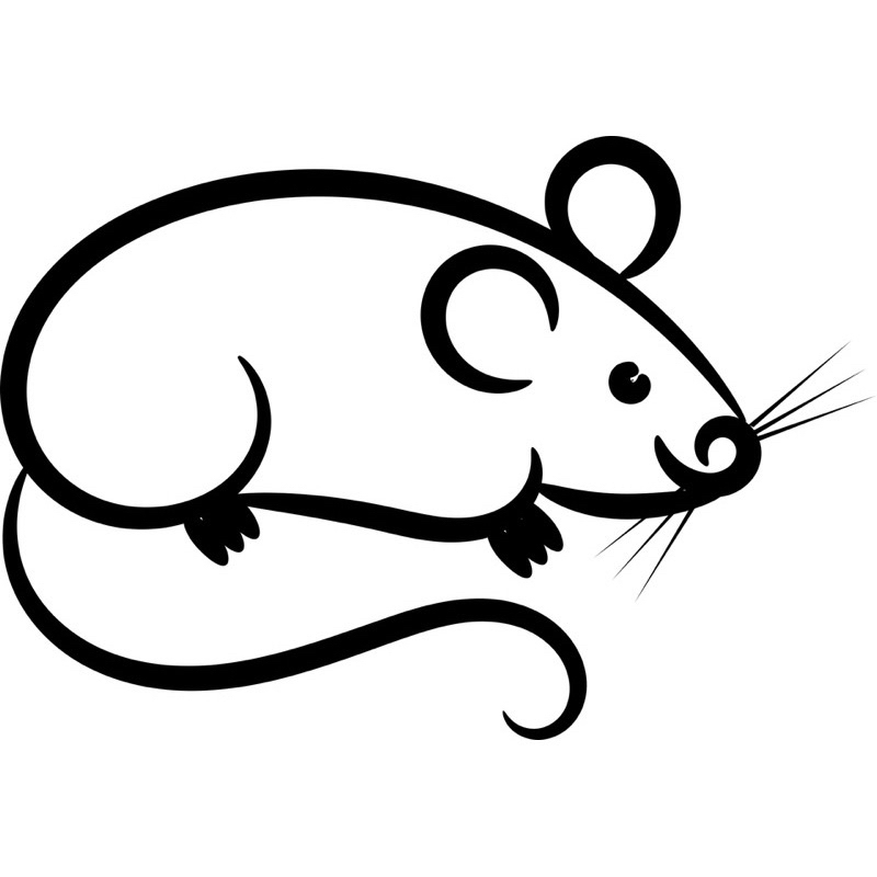 Tem 12 con giáp hottrend tiktok. tem tên theo yêu cầu