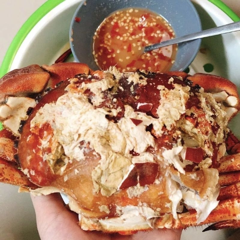 CUA NÂU SIÊU NHIỀU GẠCH SCOTLAND