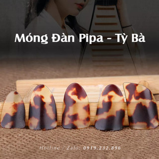 Móng gảy đàn pipa - tỳ bà chất lượng tặng kèm băng keo