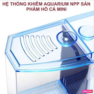 Bể cá betta mini 2 ngăn tháo lắp - Hồ cá betta