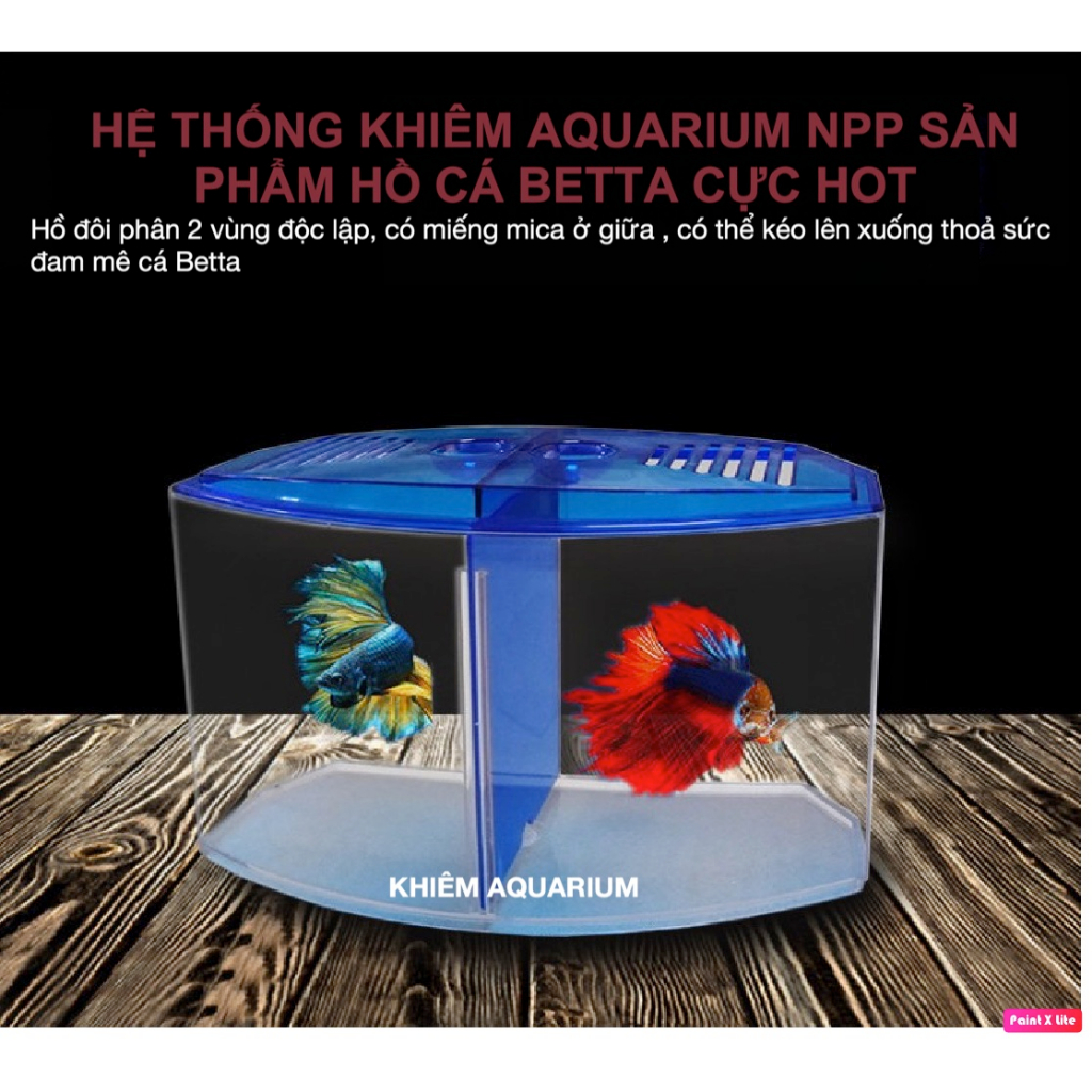 Bể cá betta mini 2 ngăn tháo lắp - Hồ cá betta