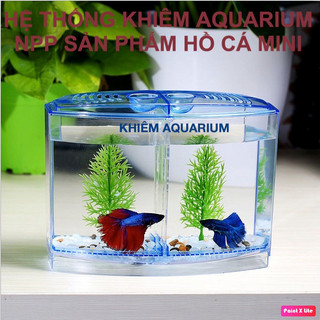 Bể cá betta mini 2 ngăn tháo lắp - Hồ cá betta