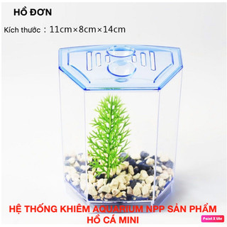 Bể cá betta mini 2 ngăn tháo lắp - Hồ cá betta