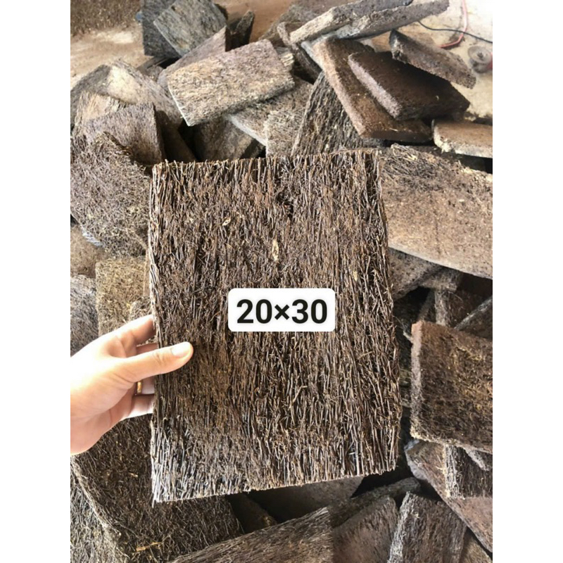 Dớn bảng trồng lan