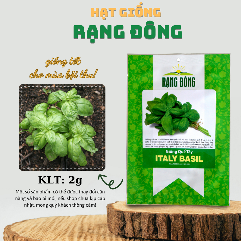 Hạt giống Quế Tây (Basil) dễ chăm sóc, dùng làm gia vị cho các món Âu (gói 2gr) - Hạt giống Rạng Đông