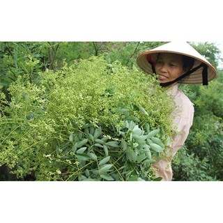 1kg hoè khô thái bình quê em