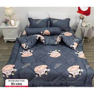 Bộ 5 Món chăn phao Boss Decor cotton poly đủ mẫu