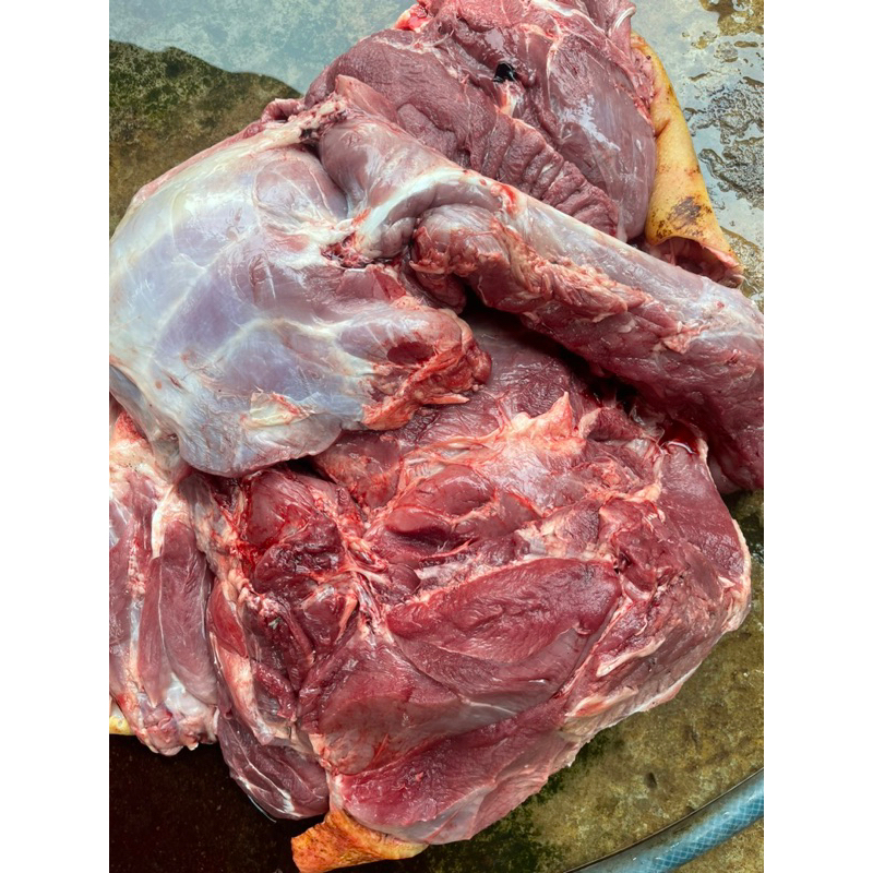 THỊT ĐÙI NAI TƯƠI CÓ DA  Cấp Đông 1kg