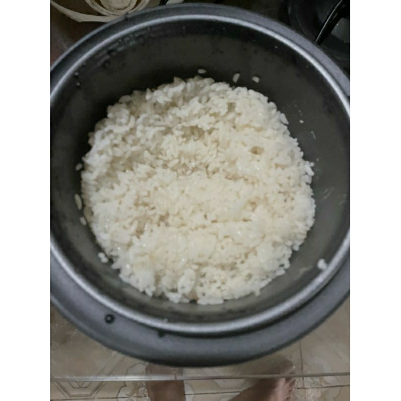 Nồi cơm điện hãng Chigo Chính Hãng