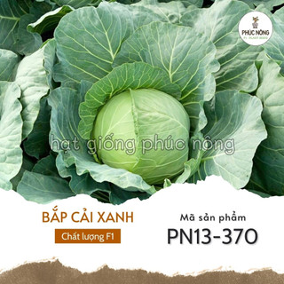 Hạt giống bắp cải xanh - 0,5 gram