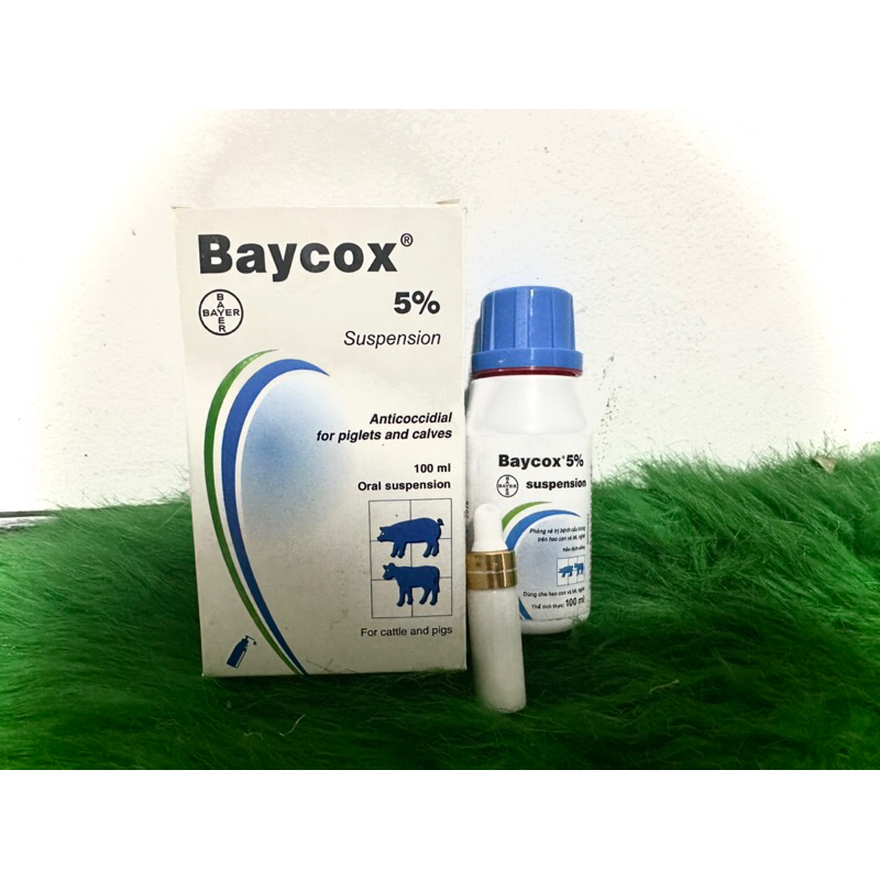 Baycox dạng chiếc ngừa cầu trùng cho bọ ú