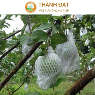 1Kg túi xốp bọc ổi, na lồng sẵn (gồm 3 chi tiết nilon +xốp+chun) tránh ruồi chích quả, thối quả