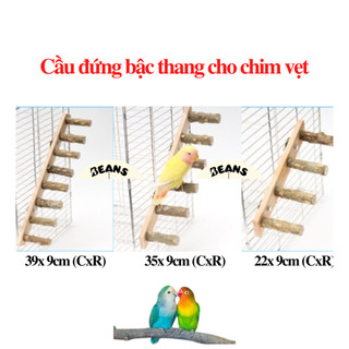 Cầu đứng gỗ mài móng bậc thang cho chim vẹt