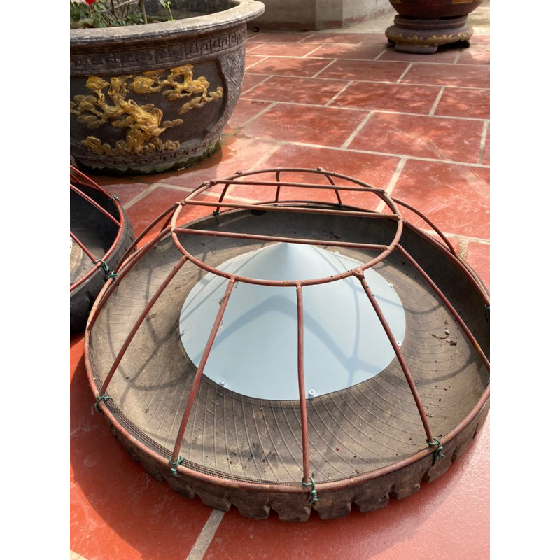 Máng cao su cho heo