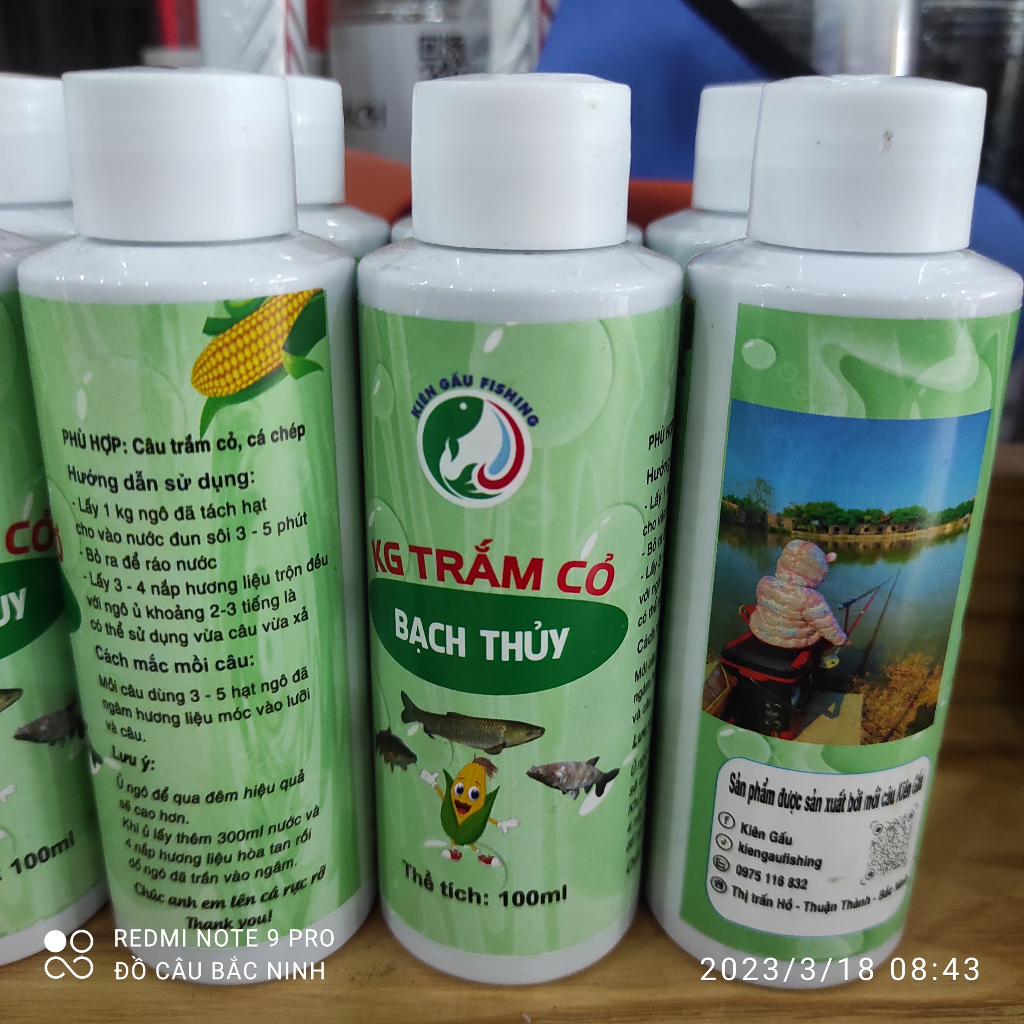 Hương Liệu Ngâm Ngô Câu Trắm Trắng - Chép Kg- Bạch Thủy