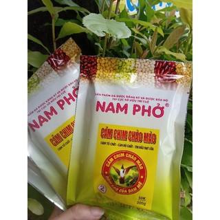 Cám chào mào Nam Phở số 2