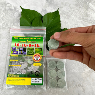 Viên phân bón cho sen súng cảnh