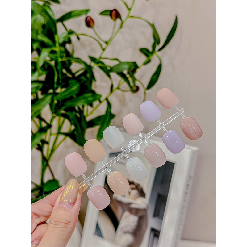 Sơn thạch chai hoa lẻ