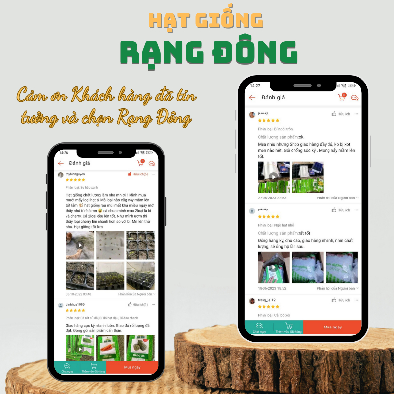 Đá Trân Châu  Lavamix - giá thể làm đất tơi xốp, giữ lâu dài  - Hạt giống Rạng Đông