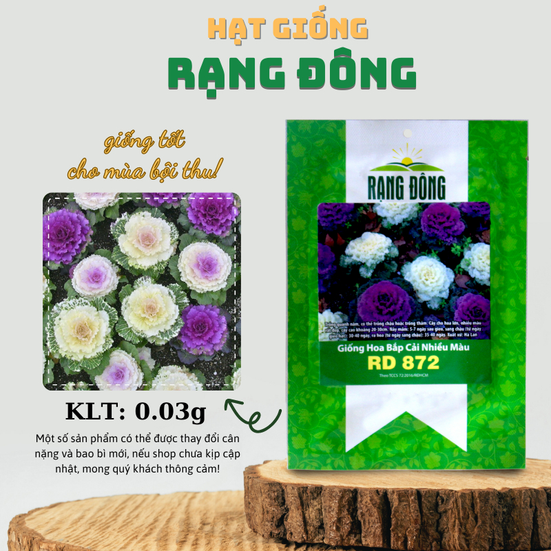 Hạt giống Hoa Bắp Cải nhiều màu, ăn được, dễ chăm sóc - Hạt giống Rạng Đông