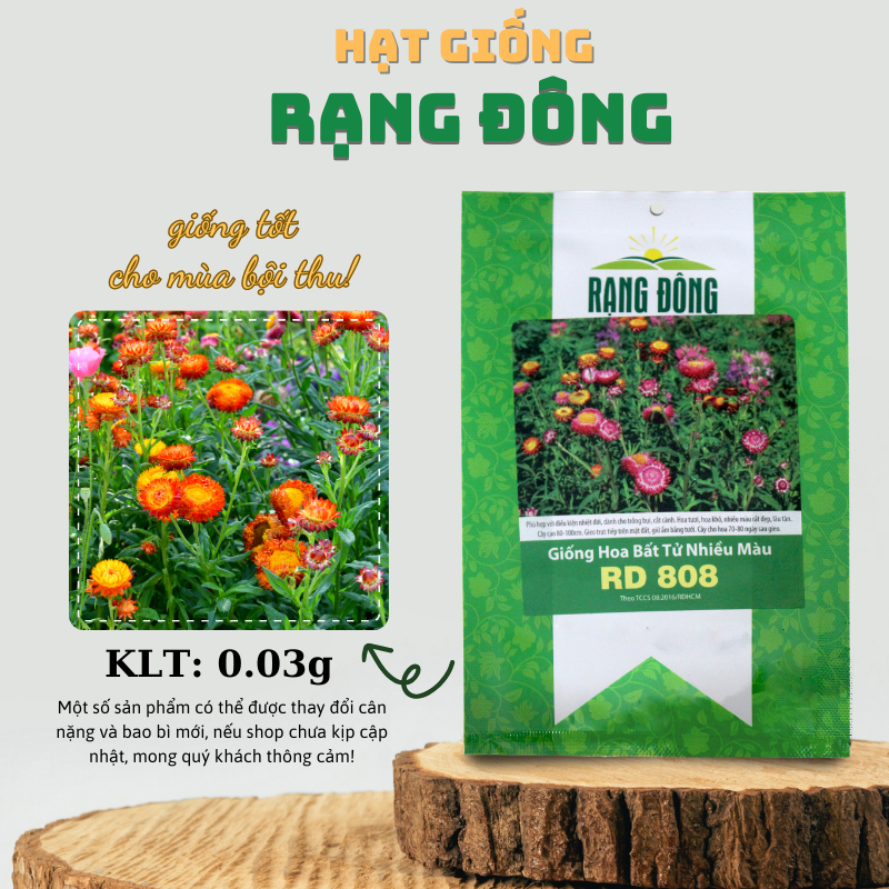 Hạt giống Hoa Bất Tử nhiều màu, thân cao 80-100cm, trồng quanh năm - Hạt giống Rạng Đông