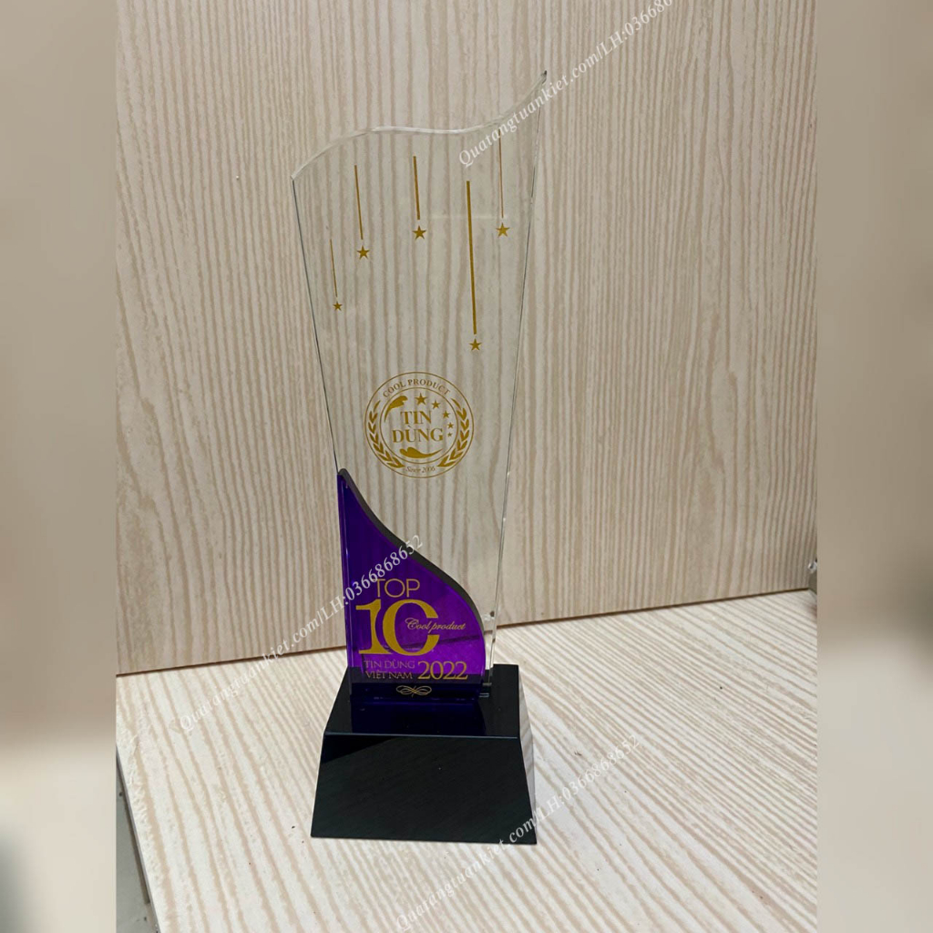 Cúp pha lê 2 thân đế đen