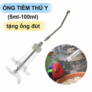 Rẻ🎉 5ml-100ml xi lanh ống tiêm thép nhựa thú y, bơm ống đút dùng cho chim vẹt non an toàn tiện lợi