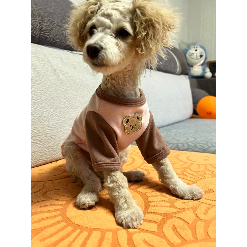 Áo thun 2 chân thoáng mát cổ gấu cho chó mèo