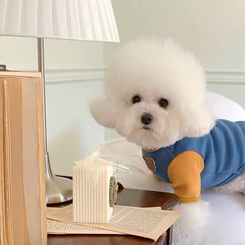 Áo thun 2 chân thoáng mát cổ gấu cho chó mèo